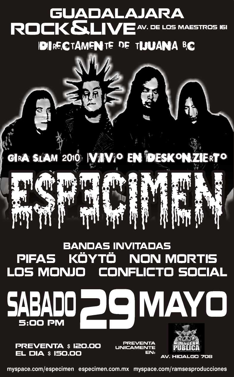 Especimen en Guadalajara Jalisco mayo 2010